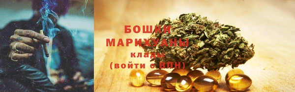 мдпв Краснотурьинск
