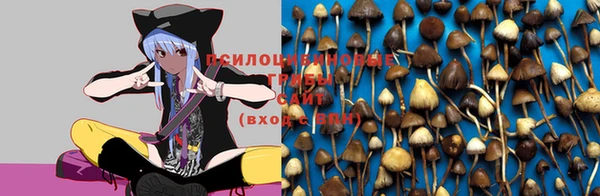MDMA Кукмор